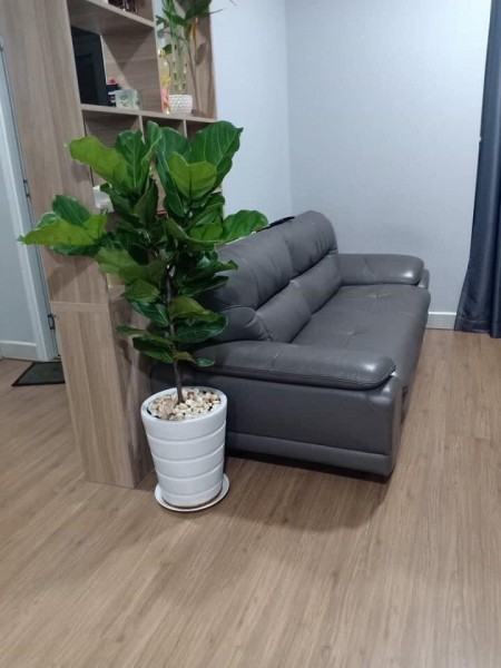 Cho thuê căn hộ Sunrise City 2PN 1WC 62M2, 2PN 1WC, giá 8 triệu/tháng