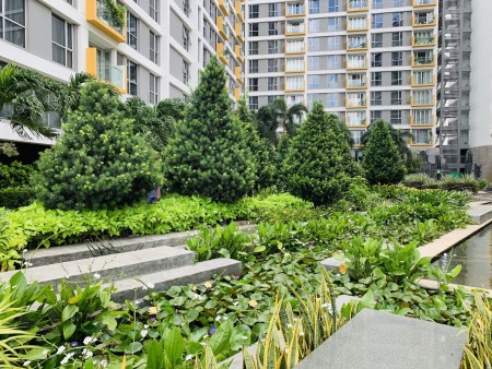 Hotline PKD 0938 155 227_Chuyên giỏ hàng cho thuê căn hộ 1-2-3PN chung cư Saigon Airport Plaza