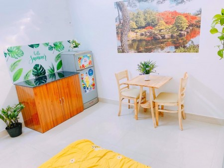 Cho thuê căn hộ dịch vụ giá siêu rẻ siêu êm đềm rộng 35m2 quận TÂN BÌNH