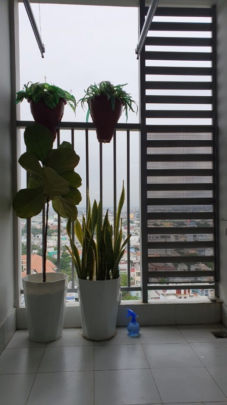 Báo giá cho thuê CH Prosper Plaza MT Phan Văn Hớn Q12