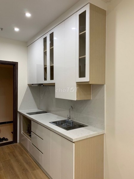 Cho thuê căn hộ Botanica Premier Tân Bình, 1PN chính chủ cho thuê giá cực tốt