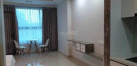 Căn hộ cần cho thuê 36m2, 1PN, 1WC giá thuê 10 triệu tại chung cư Botanica Premier