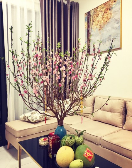 Thuê nhanh Safira căn 1PN 5.4tr/th rèm máy lạnh bếp hút mùi, 2PN 6.3tr rèm máy lạnh, LH: 0909763858