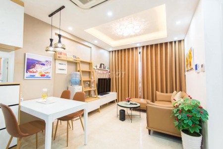 Cho thuê căn hộ chung cư Vinhomes D'capitale, 59m2, 2PN, 1WC