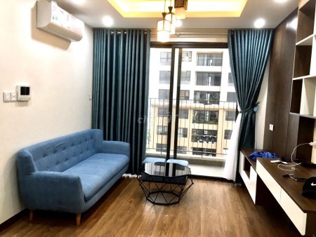 Cho thuê căn hộ chung cư Vinhomes D'capitale 55m2, 2PN, 1WC chỉ 12 triệu/tháng, full nội thất