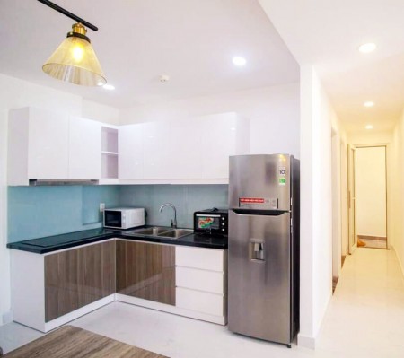 Cho thuê CH cao cấp 5* y hình ở Terra Royal, Lý Chính Thắng, Quận 3, 58m2, 2PN, 18tr/th: 0941797916