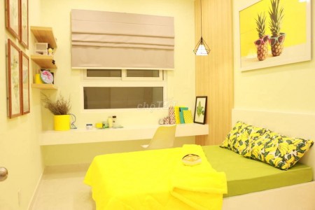 Cho thuê căn hộ chung cư Topaz Elite, giá nhà cự Hot Hot