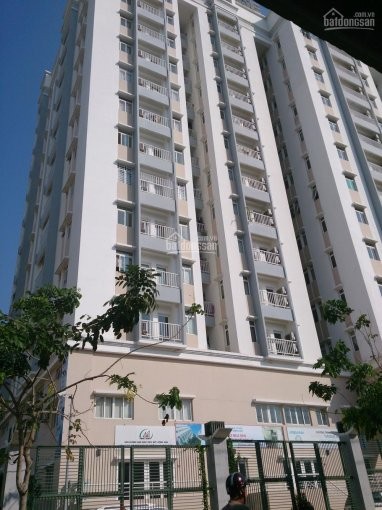 Cho thuê căn hộ TDH Trường Thọ 2PN giá 8.5tr/th, 3PN giá 9.5tr/th. Lh 0917288080, 82m2, 2 phòng ngủ, 2 toilet