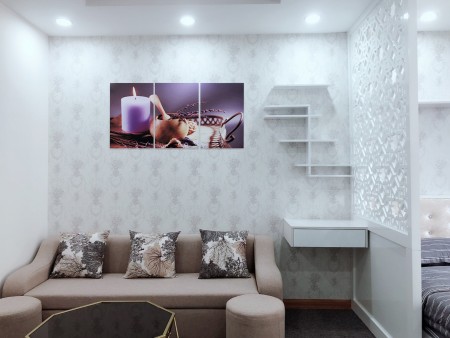 Cho thuê Studio Tòa C2 đầy đủ nội thất vừa để ở, vừa làm văn phòng Vinhomes D'capitale giá 10tr/th.