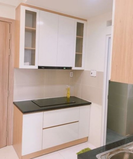 Chính chủ cho thuê căn hộ chung cư Mizuki Park Bình Chánh diện tích 40m2 1 phòng ngủ giá chỉ 5tr5