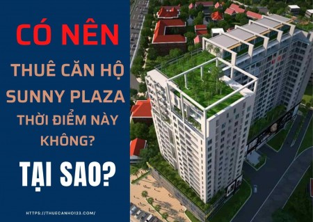 Có nên thuê căn hộ Sunny Plaza thời điểm này không? Tại sao?
