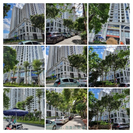 Giá cho thuê tổng hợp chung cư Florence