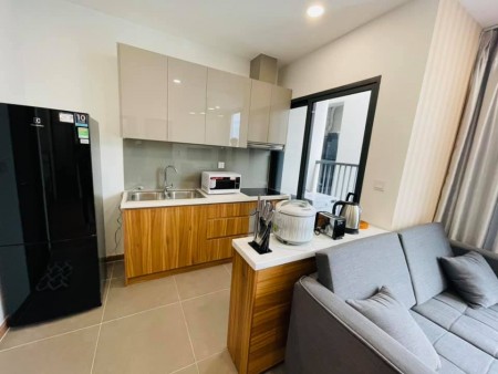 Căn hộ full nội thất cao cấp, 2PN, 1WC giá thuê cực tốt 11tr/tháng tại căn hộ Eco Green Sài Gòn