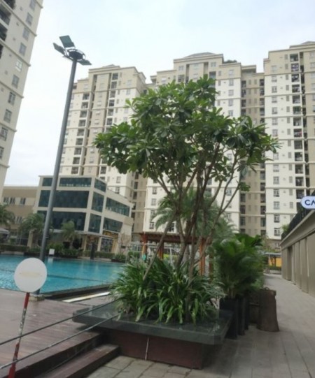 Cho thuê căn hộ 2PN Gia Hòa quận 9 view đẹp, thoáng mát