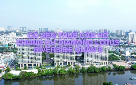 Có nên thuê căn hộ chung cư Diamond Lotus Riverside Quận 8
