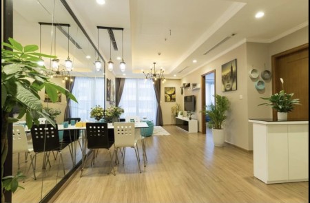 cho thuê căn hộ T10 chung cư Times city 2 phòng ngủ full – view nhạc nước