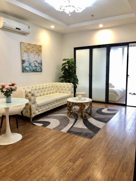 Chính chủ cho thuê căn hộ 53m2 chung cư  Times city giá 10tr/tháng