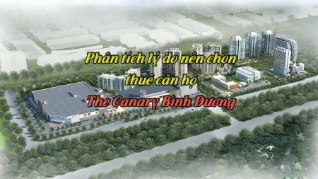 Phân tích lý do nên chọn thuê căn hộ The Canary Bình Dương