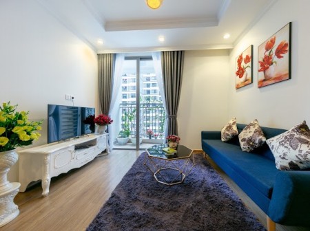 Chính chủ cho thuê căn hộ 1Phòng ngủ tòa T11 chung cư Times city giá 10tr/tháng. LH: 0904559358, 53m2, ,
