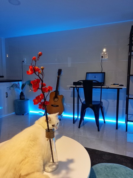 CĂn Hộ New 100% ưu đãi hỗ trợ khách hàng 2 tháng đầu giá 3tr5