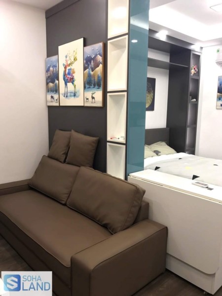 Giải cứu căn hộ cho thuê tại Vinhomes D'Capitale giá 9,5tr/tháng, 38m2, đầy đủ nội thất.