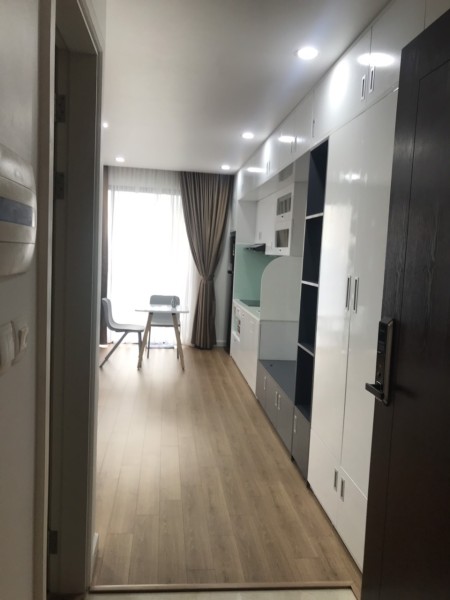 Tôi chính chủ cần cho thuê căn hộ Studio chung cư Vinhomes D'Capitale Full đồ - giá 9,5tr/tháng.
