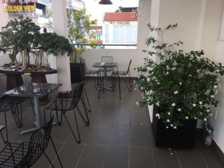 Cho thuê căn hộ dịch vụ đường Bạch Đằng 1PN-50m2 có ban công giá chỉ 8,3tr/th