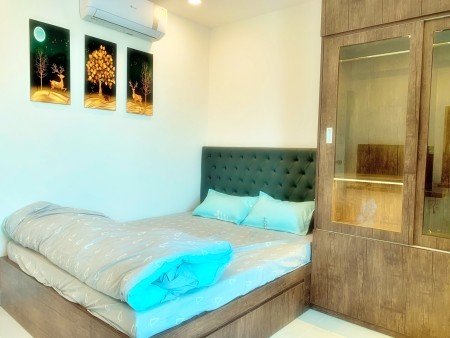 Cho thuê CH 5* Nam Kỳ Khởi Nghĩa, Full NT y hình, 58m2, tầng trung, view Landmark, giá 17tr