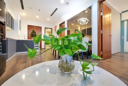 Cho thuê quỹ căn hộ Time City Hai Bà Trưng giá rẻ, chỉ từ 11.5 tr/th