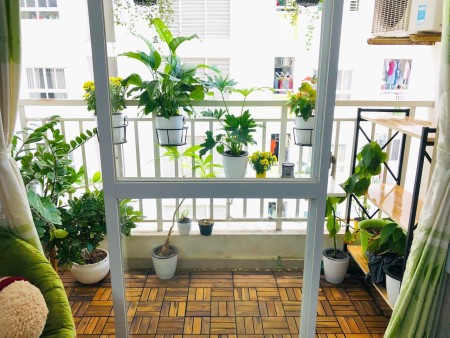 Cho thuê nhanh căn hộ Lotus Garden 52m2, NTCB, 1PN 1WC, giá thuê 5tr8. Liên hệ: 0384015896