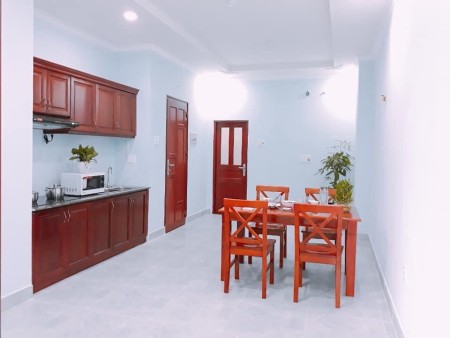 Căn hộ 1PN 55m2 Full Nội Thất Gần KCX Tân Thuận Q7