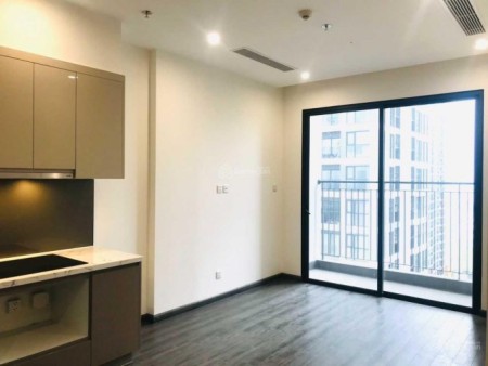 Khách cần thuê chung cư Vinhomes Ocean Park 41m2 thì căn dưới này đúng luôn