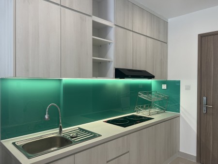 Cho thuê căn hộ 2PN,2WC full nội thất tại Vinhomes quận 9