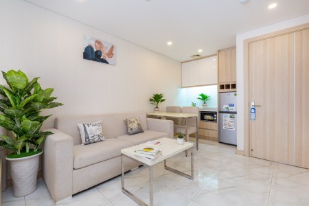 Căn hộ studio xịn sò, 45m2, gần chợ Tân Định, Q1