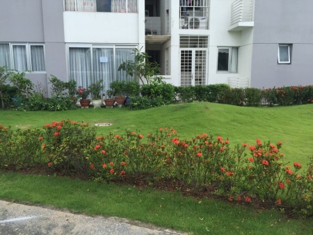 Cho thuê căn 2PN trệt Celadon chỉ 13 triệu/tháng