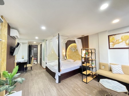 Căn hộ cao cấp 40m2 quận 1 gần Chợ Tân Định