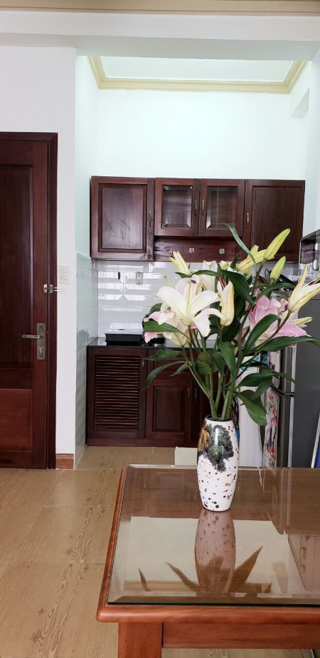 Căn hộ Studio Cao cấp Ban công full nội thất - Võ Thị Sáu, Quận 1