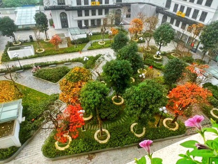 Cho thuê căn 2 ngủ 2 vs dt 61,5m chung cư iris garden