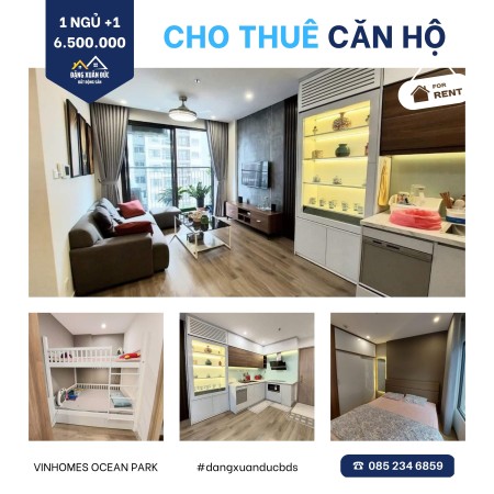 Cho Thuê căn 1 Phòng Ngủ +1 nội thất đẹp Full Sàn Gỗ Vinhomes Ocean Park