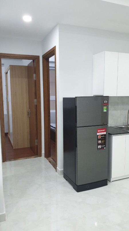Cần cho thuê gấp căn hộ chung cư Felisa Riverside số 99 Bến Bình Đông. P11, Q8.
