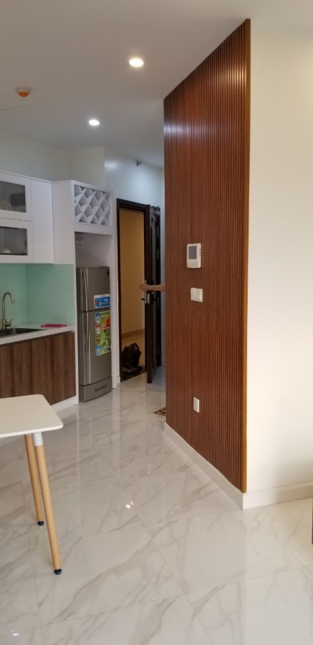 Chính chủ cho thuê CHCC D'Eldorado Lạc Long Quân 1pn full nội thất 10 triệu/tháng.0914772279