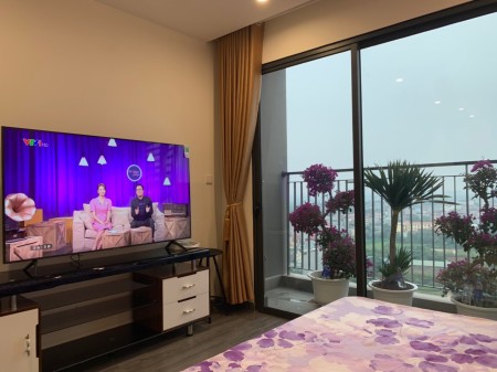 Căn hộ Studio phân khu Ruby Cao cấp