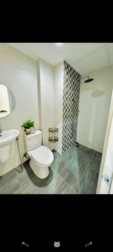 Cho thuê nhanh căn hộ Lotus Garden 1pn 1wc, 8tr4