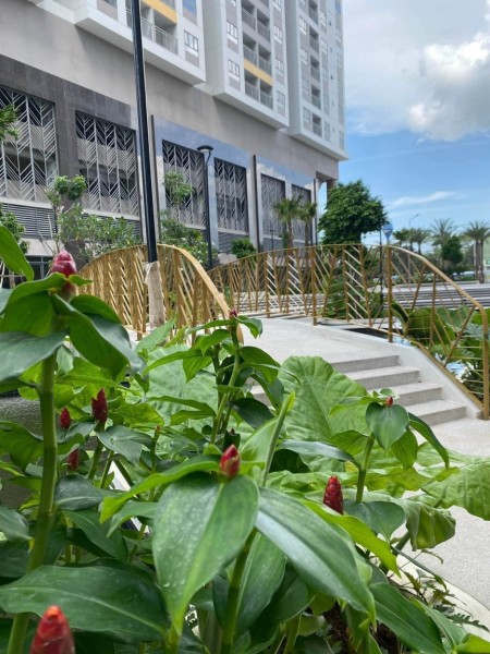 CHO THUÊ CĂN HỘ CAO CẤP 2PN67M2 Q7 RIVERSIDE 7,2TR