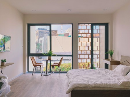 Cho thuê căn hộ mới 100% Võ Thị Sáu Q1 đối diện công viên Lê Văn Tám - gần Hai Bà Trưng