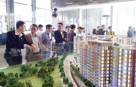 Điều gì khiến căn hộ cho thuê giá rẻ trở thành cơn sốt trong thị trường?