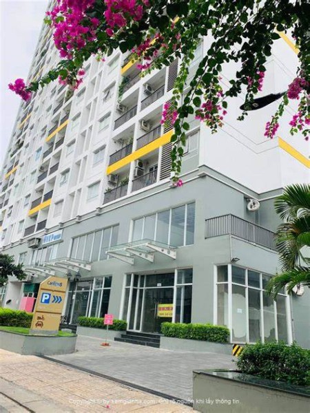 Chủ Cho Thuê Gấp Carillon 5-Lũy Bán Bích 2PN Có NTCB Nhà mới - LH 0975 0123 08 ở ngay
