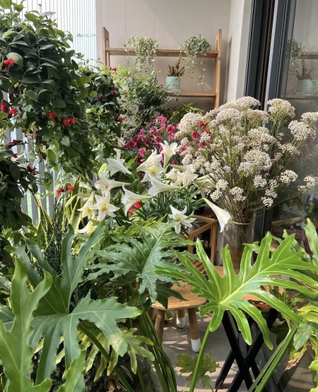 Cho thuê căn 3PN bên D'cap Trần Duy Hưng, full đồ Decor siêu đẹp giá 27tr. check in tháng 7