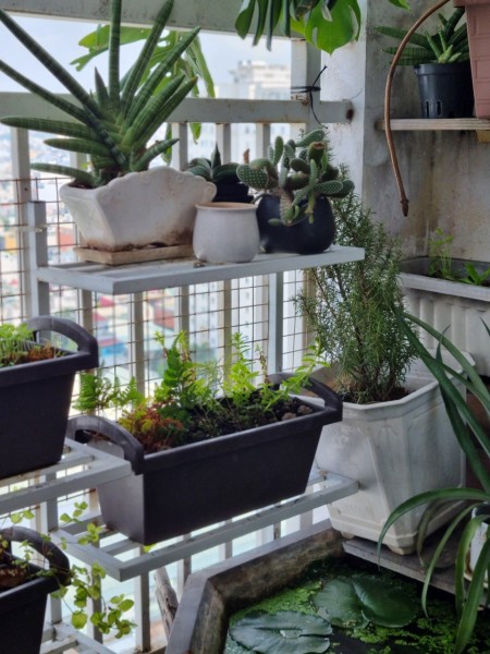 Cho thuê căn hộ gần đầm sen 2pn 11tr/tháng view ngắm pháo hoa