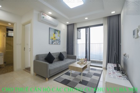( Chung Cư Vinhomes Dcapitale Trần Duy Hưng ) Cho Thuê Căn 2 Ngủ 2 Vệ Sinh Full Nội Thất